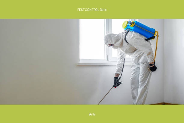 PEST CONTROL Bells